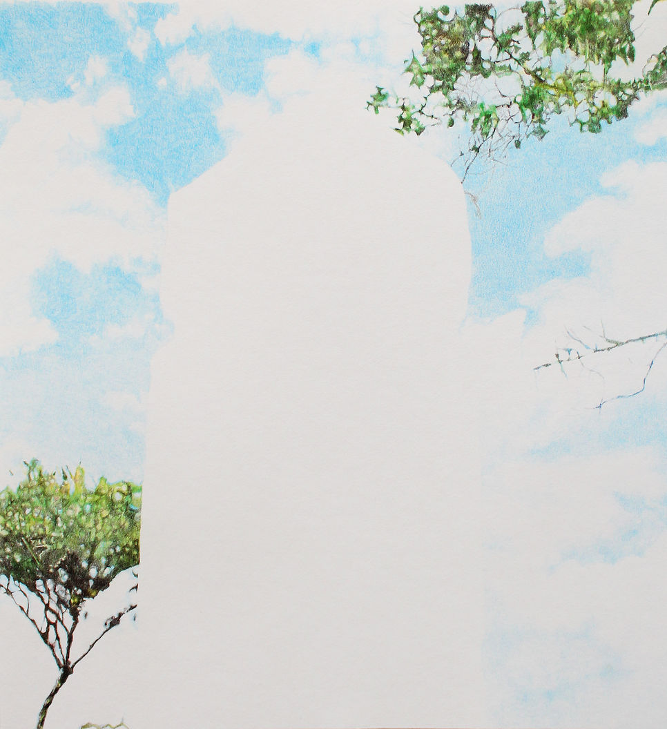 De la serie "Revisitar". Lápiz de color sobre papel.