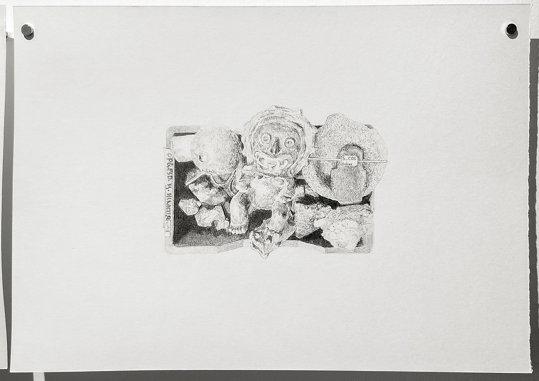 Exposición "De dudosa procedencia". Dibujo.