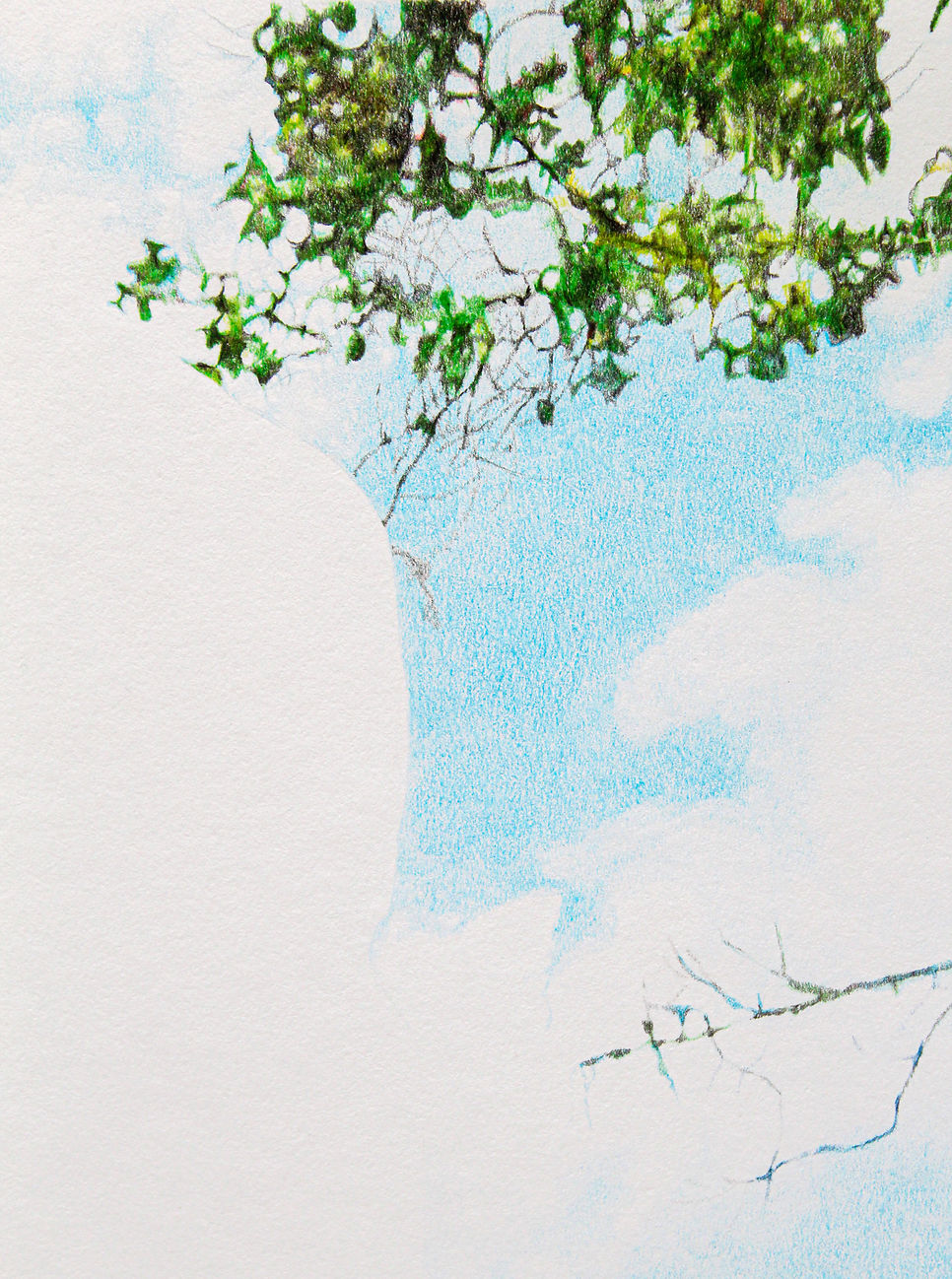 De la serie "Revisitar". Lápiz de color sobre papel.