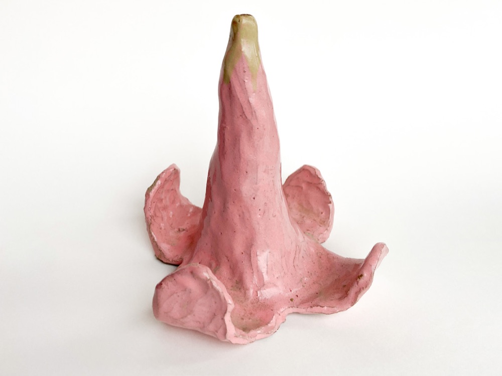 Flor borrachero